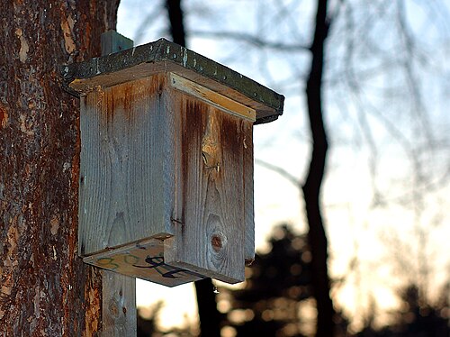 Birdhouse aka