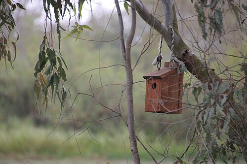 Woodland Birdhouse