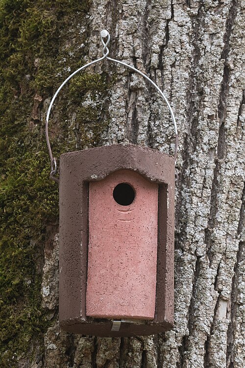 Schwegler Nest Box 1B 32mm Paslières