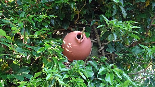 Sparrow Pot, Chapeltoun, North Ayrshire