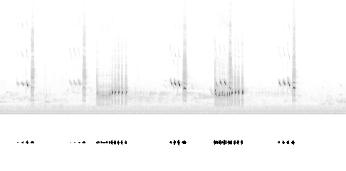 Sonogram av varsellyd