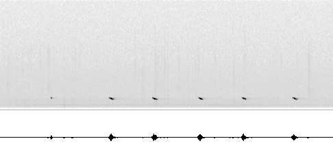 Sonogram av sang