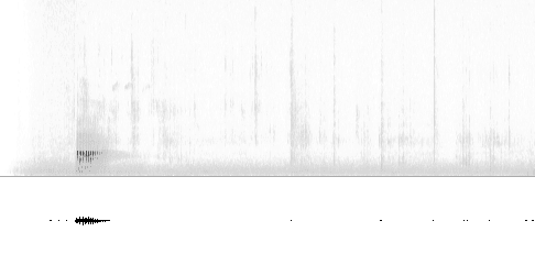 Sonogram