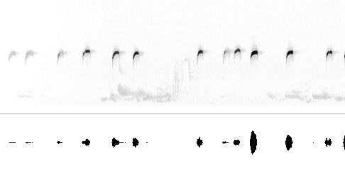 Sonogram