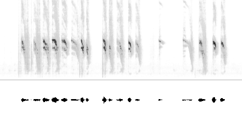 Sonogram av varsellyd