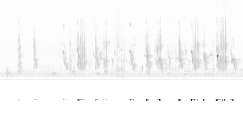 Sonogram