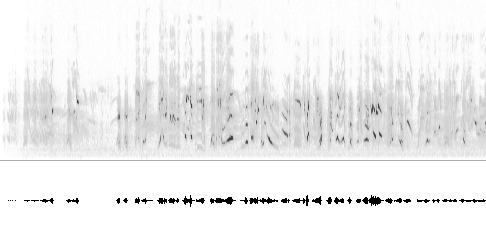 Sonogram