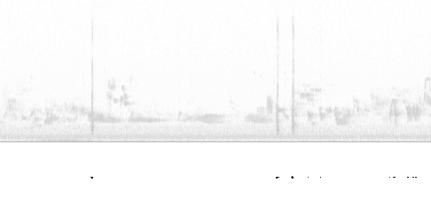 Sonogram