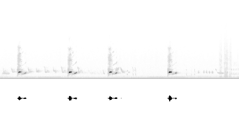 Sonogram av lokkelyd