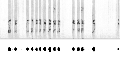 Sonogram av varsellyd