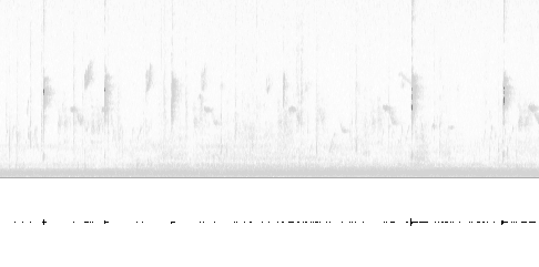 Sonogram av sang