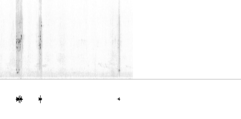 Sonogram av varsellyd