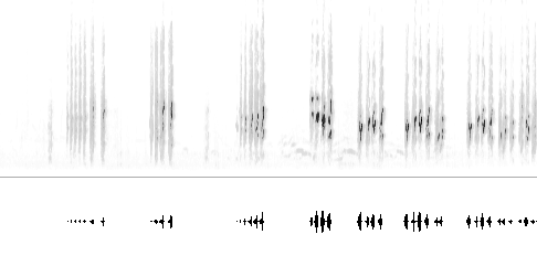 Sonogram
