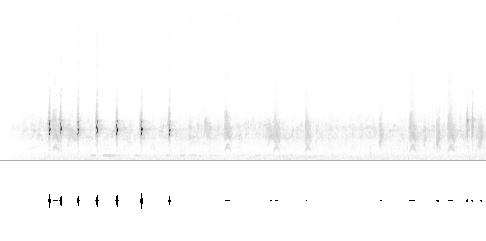 Sonogram