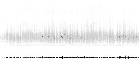 Sonogram