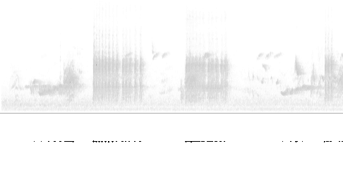 Sonogram