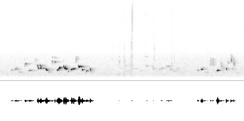 Sonogram av lokkelyd