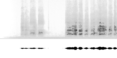 Sonogram av varsellyd