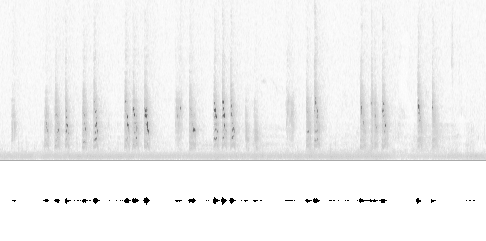 Sonogram