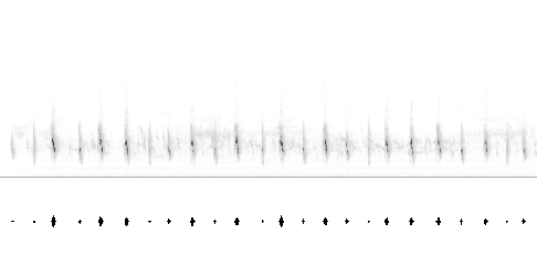 Sonogram