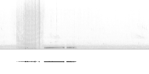 Sonogram av lokkelyd