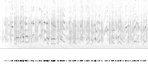 Sonogram