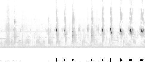 Sonogram