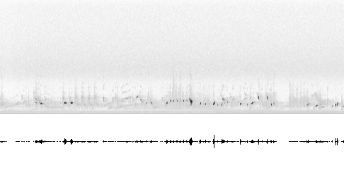 Sonogram