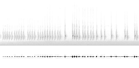 Sonogram