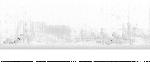 Sonogram av sang