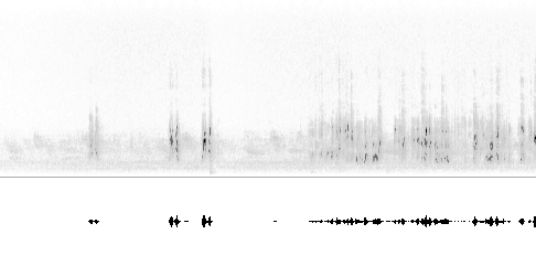 Sonogram