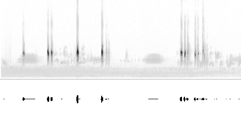 Sonogram