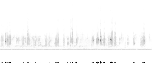 Sonogram